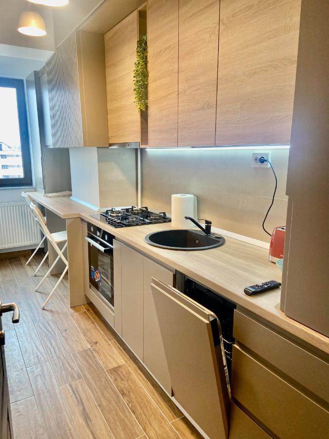Lazar Loft Apartment Iasi Luaran gambar